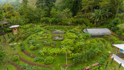 A farm in the Petrópolis region of Rio de Janeiro uses agroforestry methods for food production and forest restoration in the Atlantic Forest.
