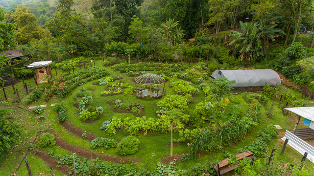 A farm in the Petr&oacute;polis region of Rio de Janeiro uses agroforestry methods for food production and forest restoration in the Atlantic Forest.