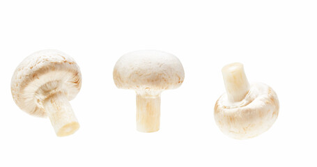 Set of fresh champignon mushrooms, isolated on white background.