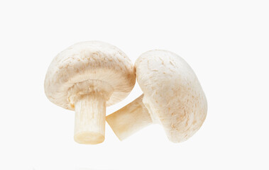 Set of fresh whole champignon mushrooms isolated on white background.