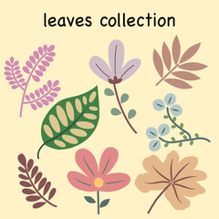 set of flowers leaves element vector