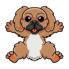 Cute little pekingese dog cartoon