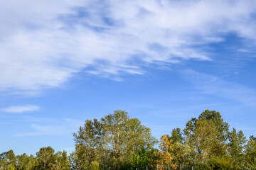 Beginnings of fall color on a sunny day, deciduous trees just beginning to turn yellow
