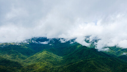 Fototapeta na wymiar Bird's-eye view of a green mountain full of trees and misty mountains beautiful, fresh atmosphere.