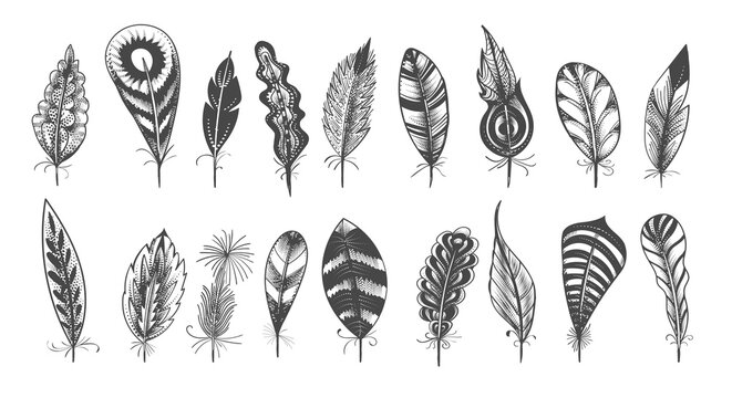 Ethnic feathers sketch