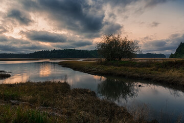 Fototapeta na wymiar Moody sky reflection in water in twilight. Willapa National Wildlife Refuge, Washington, USA