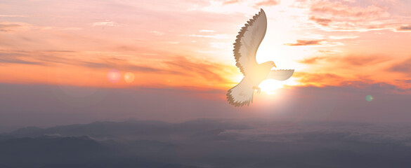 Doves fly in the sky. Christians have faith in Holy Spirit. silhouette worship to god with love Faith, Spirit and jesus christ. Christian praying for peace. Concept of worship in Christianity. - obrazy, fototapety, plakaty