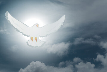 Doves fly in the sky. Christians have faith in Holy Spirit. silhouette worship to god with love...