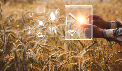 Smart farming concept. Farmer with technology digital tablet on background of wheat field....