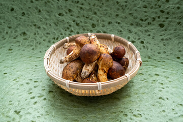 松茸緑和紙背景