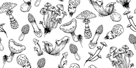 Forest mushrooms. Seamless pattern. Edible and non-edible mushroom plants from wild forest. Outline hand drawn sketch. Drawing with ink. Isolated on white background. Vector.