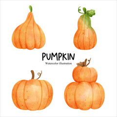 Watercolor autumn pumpkin, fall season vector illustration