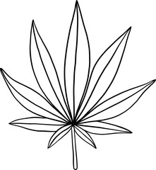 simplicity cannabis leaf freehand drawing flat design.