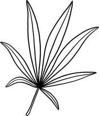 simplicity cannabis leaf freehand drawing flat design.