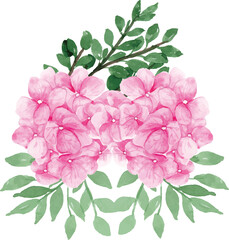 Hydrangea Watercolor