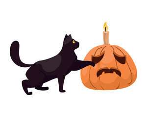 halloween cat with pumpkin