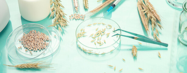 Analyzing agricultural wheat grains in laboratory