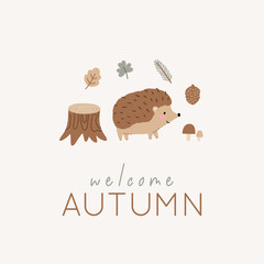 Cute cartoon hedgehog in forest vector print in flat style. Cute childish character, leaves, cones, mushrooms. © NadezdaBarkova