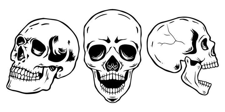 Set of three hand drawn skulls