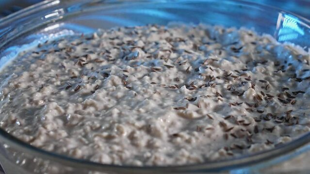 Sprinkling Dried Cumin Seeds On Top Of Chicken And Oatmeal Dish Before Baking. close up