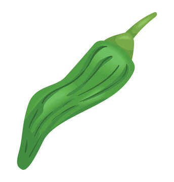 Green Chili Pepper Vegetable