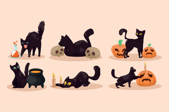 six halloween cats mascots