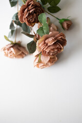 illustration book cover background white background It has brick brown flowers. decorative vintage sugar a flower frame