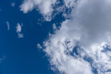 Fototapeta premium white clouds in the blue sky. cumulus.