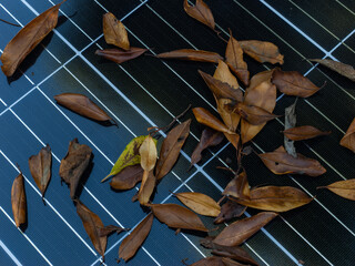 Dried leaves on a solar panel 