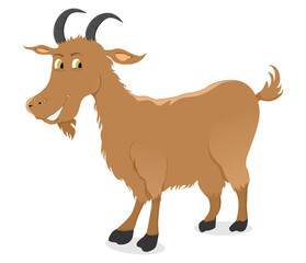 Goat illustration cartoon hand drawn