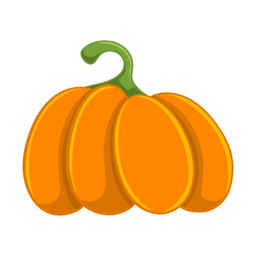 Pumpkin cute cartoon icon. Hand drawn vector. Isolated.