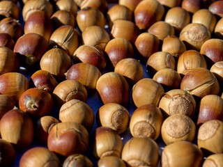 신선한 유기농 자연 도토리 배경