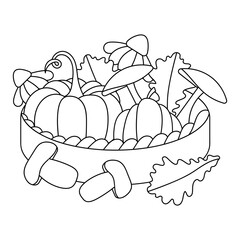 Basket with mushrooms and pumpkin. Autumn coloring book page for children and adult. Vector illustration