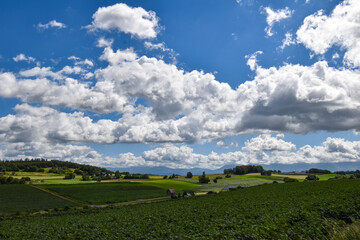 Fototapeta premium 三愛の丘展望公園から眺める美瑛の美しい風景 
