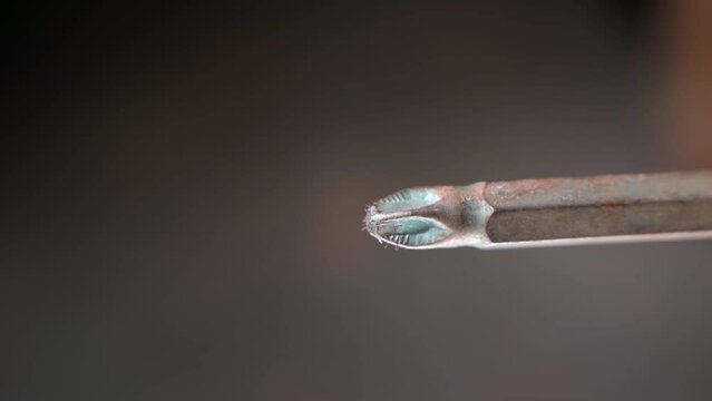 The tip of a Phillips screwdriver close-up rotates on a blurred background. Curly screwdriver with magnet. Bit attachment for screwdriver