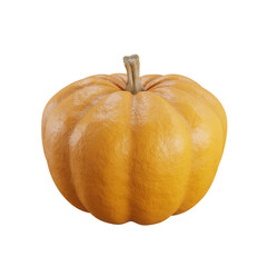 A pumpkin isolated no background