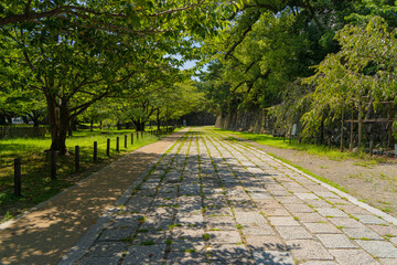 和歌山城公園　石畳の道