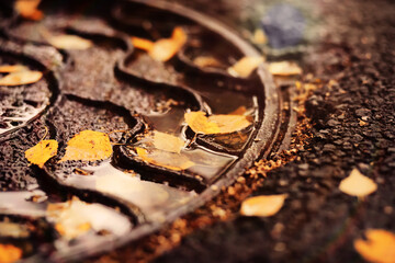 Beautiful Nature Autumn landscape. Scenery view on autumn city park with golden yellow foliage in Sunny day. Walking path in the city Park strewn with autumn fallen leaves.
