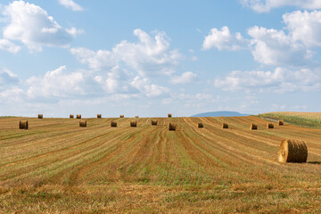 Rural view of haystacks in a field on the Ile d'Orléans ("island of Orléans), in Canada