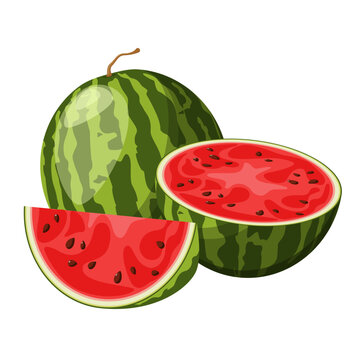 Juicy ripe watermelon on a white background. Cartoon design.
