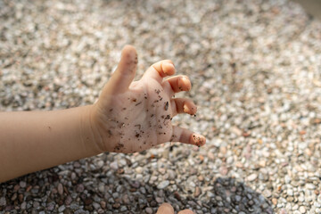 Close up of 1-2 Years old kids dirty hand