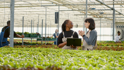 Two diverse women using laptop with agricultural management software to manage irrigation systems in hydroponic enviroment. Farm workers in greenhouse holding portable computer planning harvesting.