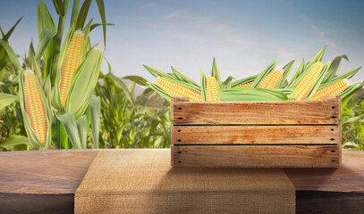 Sweet corn seeds with wooden crate and green leaves at Agriculture corn field. 3D illustration, of free space for your texts and branding. Food concepts.