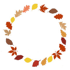 Autumn Leaves Icon