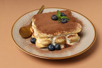 Concept of sweet food, Tiramisu cake, close up