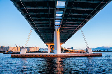 Bottom view of the cable-stayed bridge