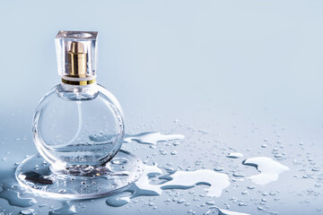 Glass perfume bottle and drops water on blue background. Winter or spring fragrance