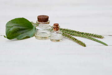 plantain essential oil bottle on white wooden background
