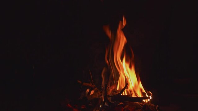 Blazing Bonfire in forest Isolated Against Dark Background. Static Shot