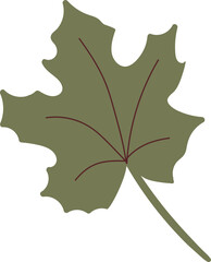 Naklejka premium Simple autumn leaf in green color. Autumn design maple leaf. Vector